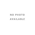  Foam Occluders   (Package of 6)   Red Filter 