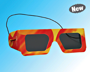 Polarized Goggle (VTE)