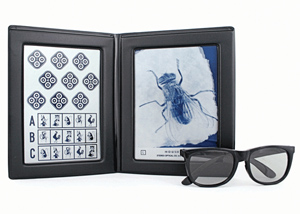 Stereo Fly TestThe Standard(Size: 6-1/2 x 8-1/2)