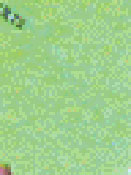  Lens Cleaner Cloths   Standard   Color: Green  (Package of 500)