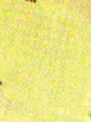  Lens Cleaner Cloths   Standard   Color: Light Yellow  (Package of 500)
