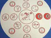 (C)  Sports Disc for Rotator 