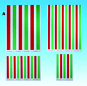 R/G Bar Reader (VTE)for Children