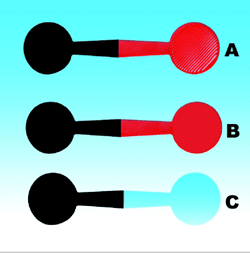 Double End Occluder (VTE)