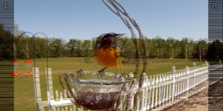 Bernell 3-D Blu-Ray Bird Feeder