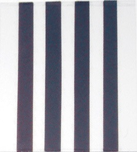  Reading Units   Polarized Version   (6" x 9")