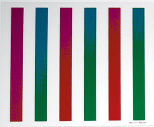  Reading Units   Red/Green Version   (8-1/2" x 11")